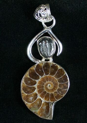 Ammonite + Trilobite Pendant - Sterling Silver #7055